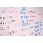 220: Project Portfolio Management 